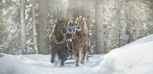     Horse-drawn sleigh 